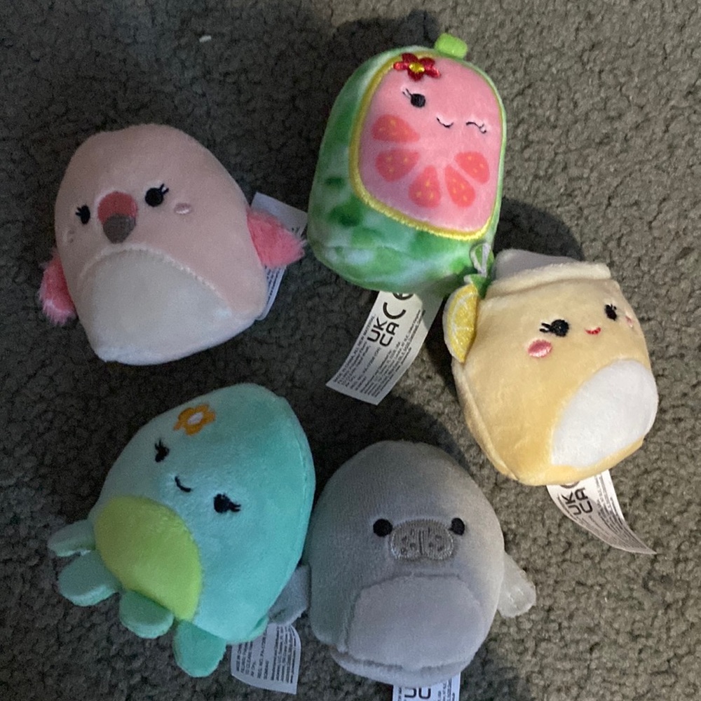 5 mini squishmallows